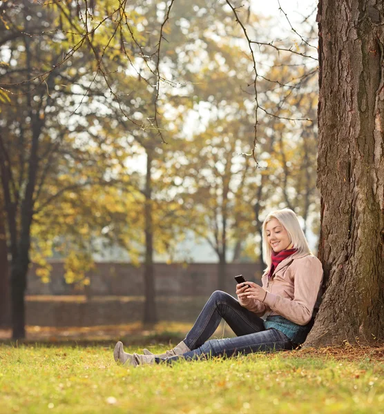 Chica sentada junto al árbol en el parque — Foto de Stock