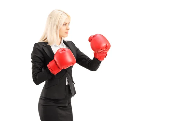 Donna d'affari con guanti da boxe rossi — Foto Stock