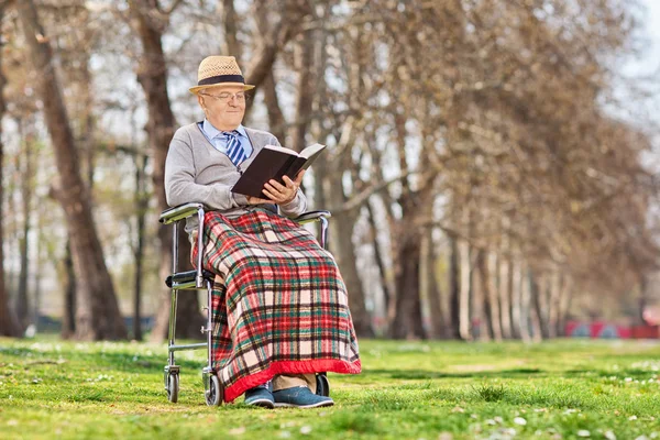 Gentleman reading book in park — Stock Photo, Image