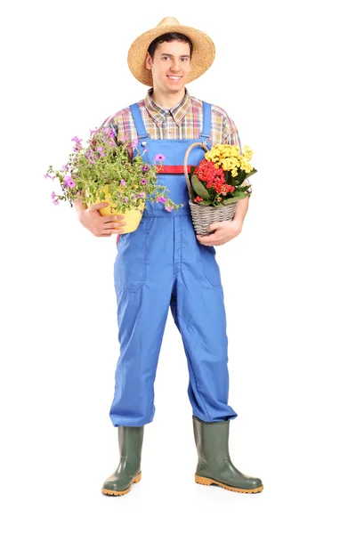 Male gardener holding plants — Stock Photo, Image