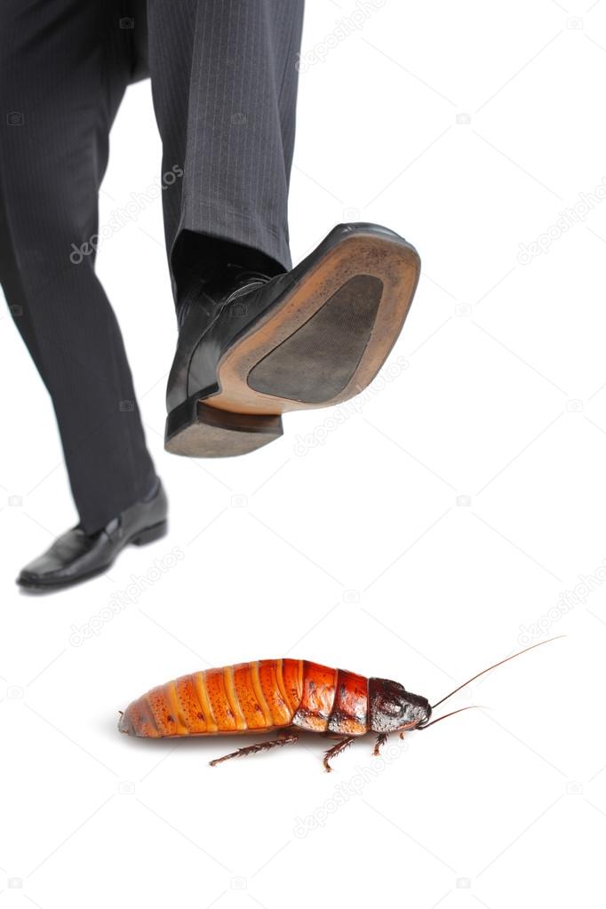 Foot about to step on cockroach