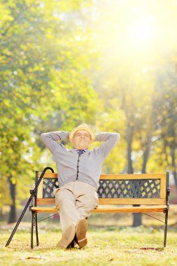 park içinde rahat kıdemli beyefendi