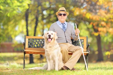 Senior blind on bench with dog
