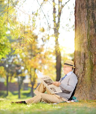 bir gazete okuyan bir çim adam