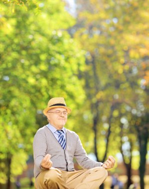 üst düzey beyefendi bir parkta meditasyon