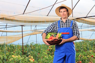 Bahçıvan holding sepeti