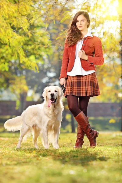 公園で犬を持つ若い女 — ストック写真
