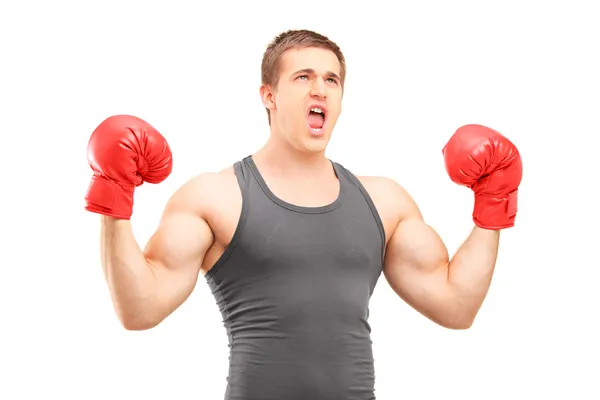 Boxeador masculino gesticulando felicidad —  Fotos de Stock
