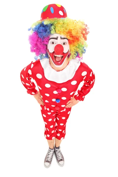 Grappige mannelijke clown — Stockfoto