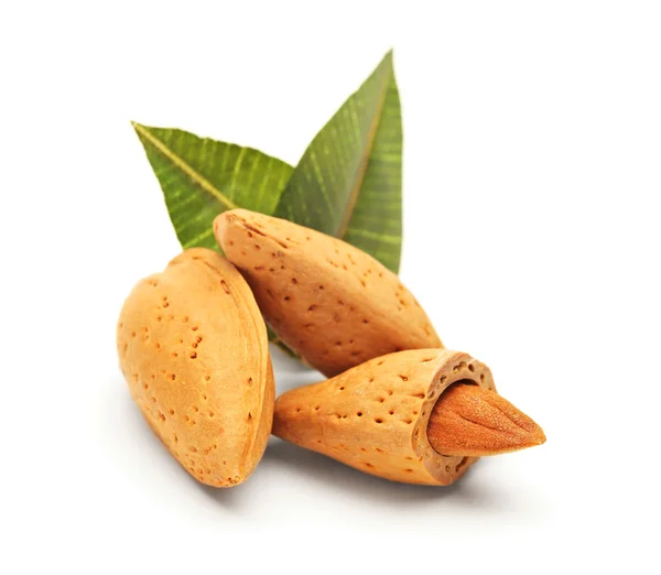 Almond dengan daun hijau — Stok Foto