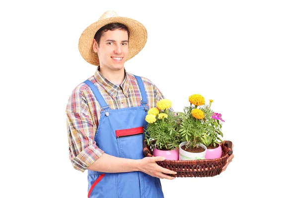 Florista masculino segurando cesta com plantas — Fotografia de Stock