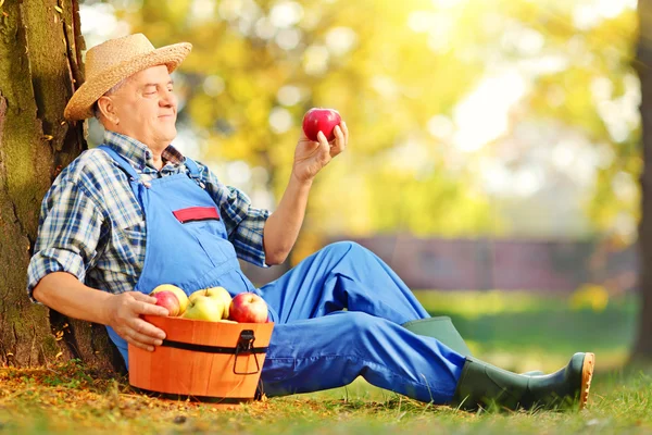 バスケットりんごとの農業の労働者 — ストック写真