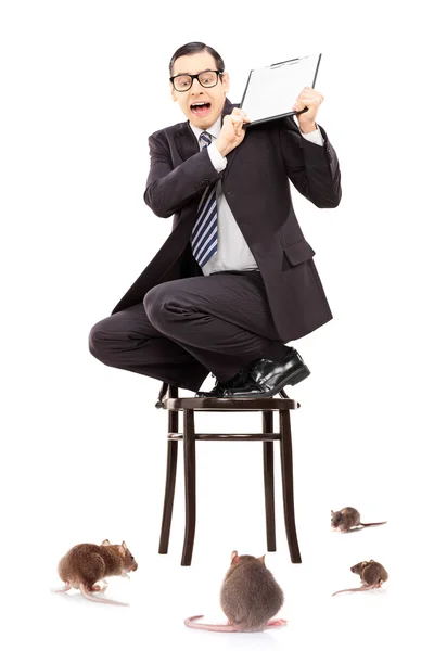 Businessman standing on chair — Stock Photo, Image