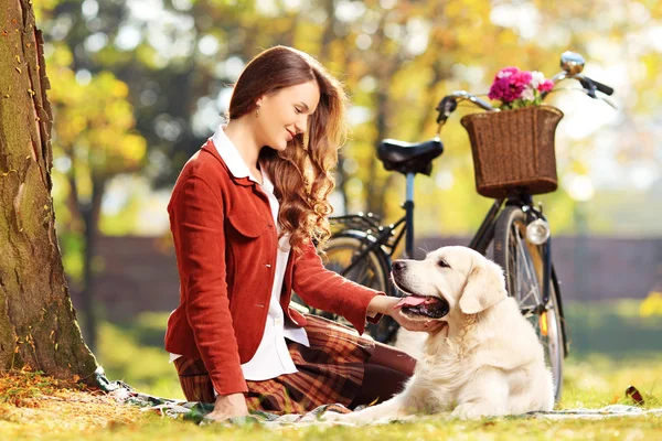 Vacker kvinna sitter på en grön gräs och titta på hunden i — Stockfoto