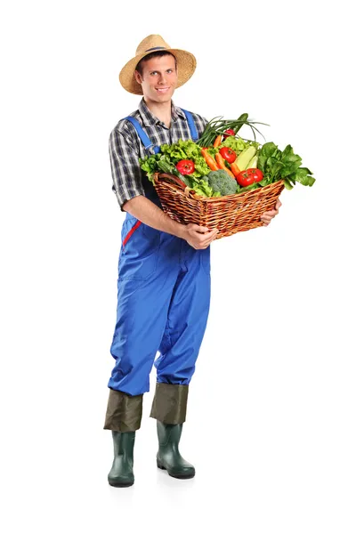 Fermier tenant panier de légumes — Photo