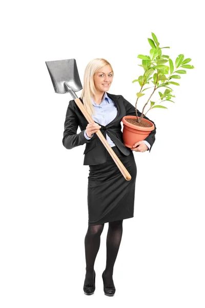 Mulher segurando uma pá e uma planta — Fotografia de Stock