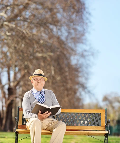 Senior gentleman lezen van een boek in park — Stockfoto