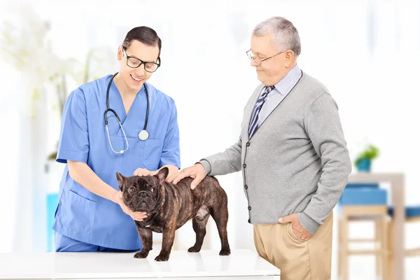 Senior ta hunden till veterinär praktik — Stockfoto
