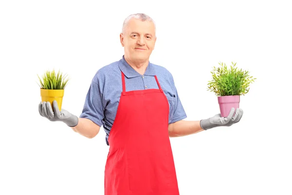 Jardinero sosteniendo plantas en maceta — Foto de Stock