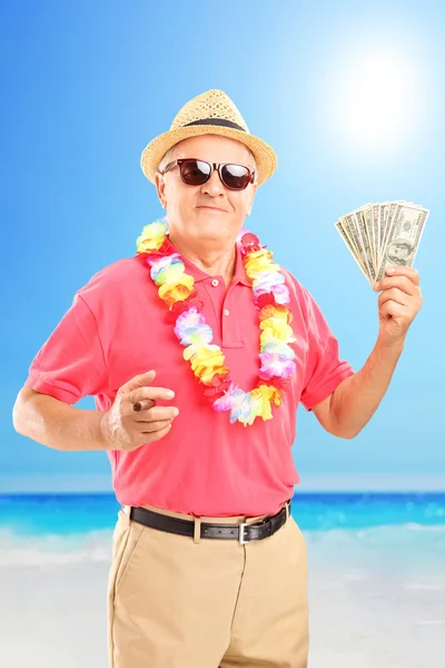 Gentleman holding cigar and dollars — Stock Photo, Image