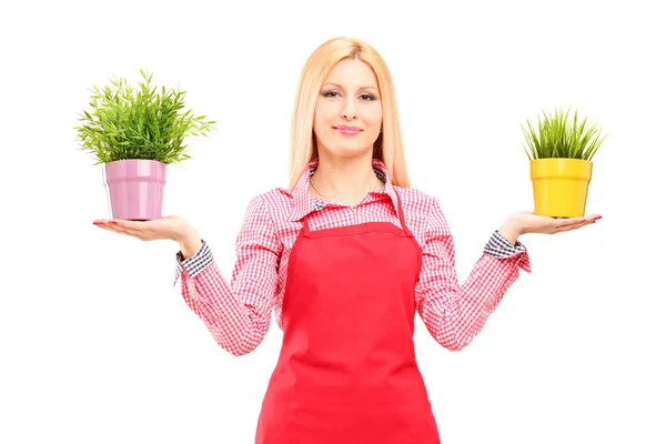 Blonďatá samice zahradník drží dva hrnkové rostliny — Stock fotografie