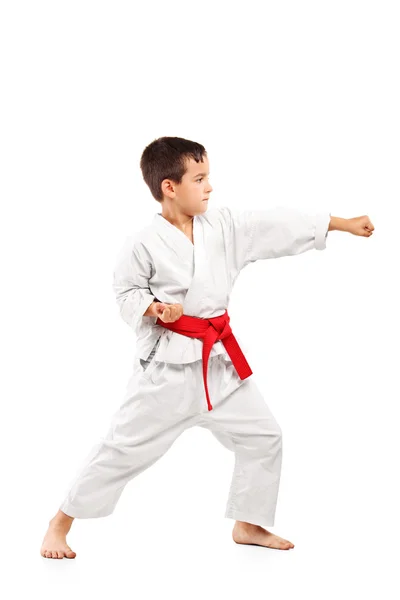 Karate bambino posa — Foto Stock