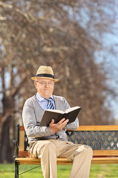 Senior på bänk läser bok — Stockfoto