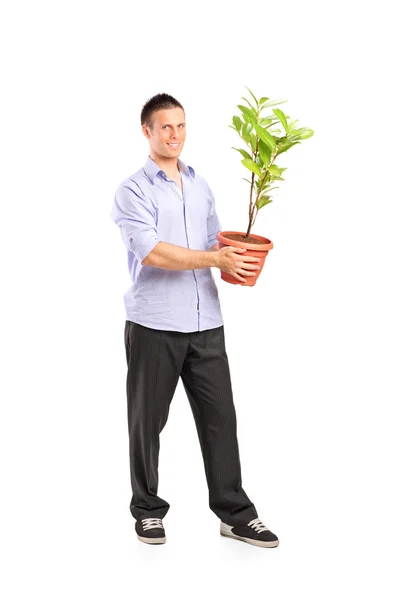 Homem segurando pote com planta de decoração — Fotografia de Stock