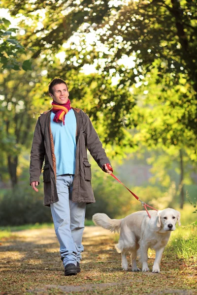 Um menino e seu cachorro andando no parque no outono — Fotografia de Stock