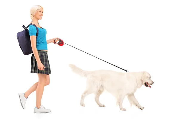 Female student walking dog — Stock Photo, Image