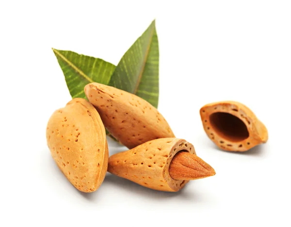 Almond dengan daun hijau — Stok Foto