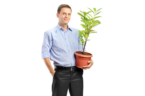 Homem que prende potenciômetro com planta — Fotografia de Stock