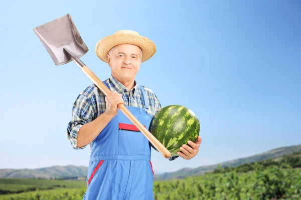 Farmer holding watermelon and shovel — Stock Photo, Image