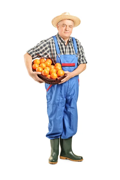 Bauer hält Korb mit Orangen — Stockfoto