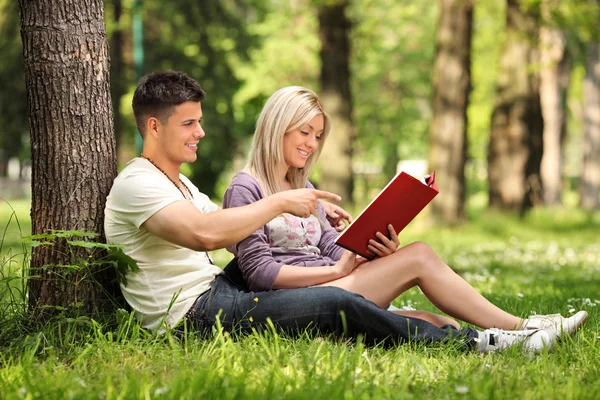 Boyfriend and girlfriend reading a book in a city park — Stock Photo, Image