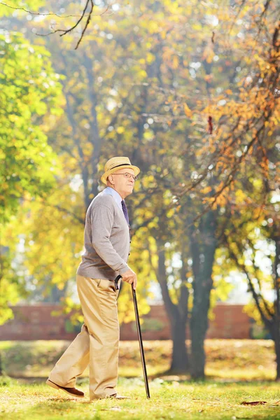 Gentleman gå med käpp i park — Stockfoto