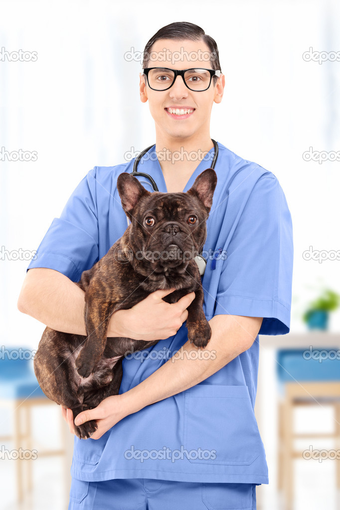 Male veterinarian in uniform holding a dog