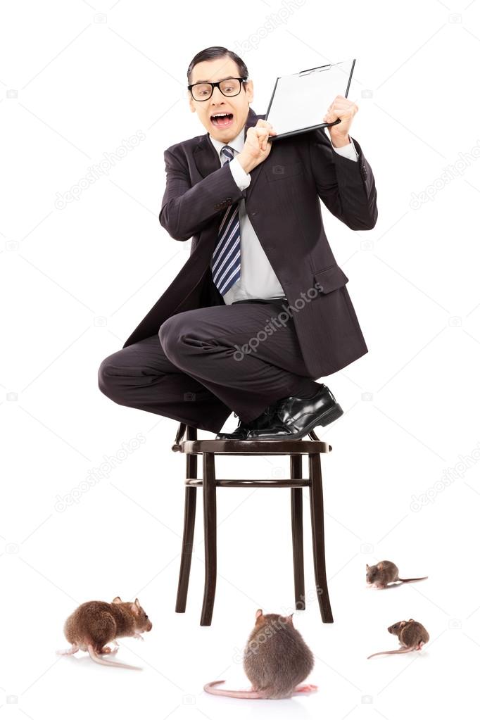 Businessman standing on chair