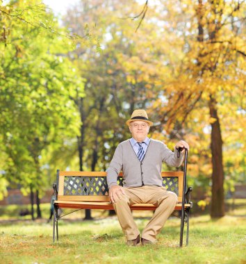 park içinde rahat kıdemli beyefendi