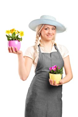 Female gardener holding potted plants clipart