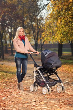 Anne iterek bebek arabası park
