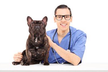 erkek veteriner Bulldog ile poz