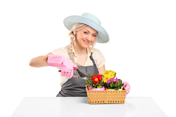 Kvinnan skära blommor — Stockfoto