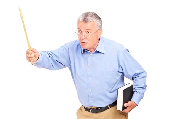 Mature teacher holding wand — Stock Photo, Image