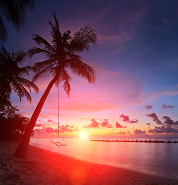 Пляж с пальмами и закатом — стоковое фото