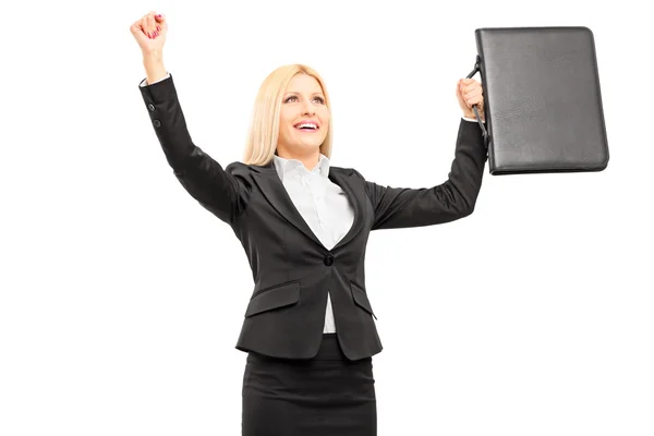 Professional woman with briefcase — Stock Photo, Image