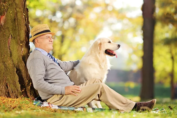 Senior gentleman en hond in park — Stockfoto