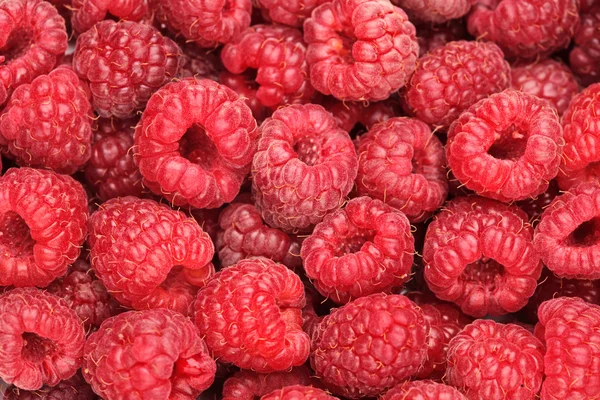 A raspberry background — Stock Photo, Image