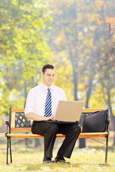 Homme d'affaires travaillant sur ordinateur portable dans le parc — Photo