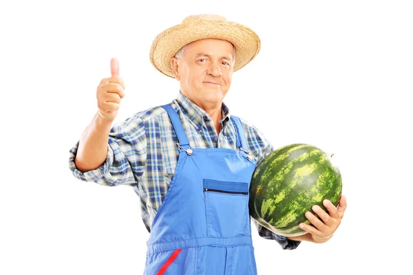 Agricultor sorridente segurando melancia — Fotografia de Stock